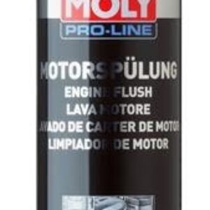 Proline Motorspülung